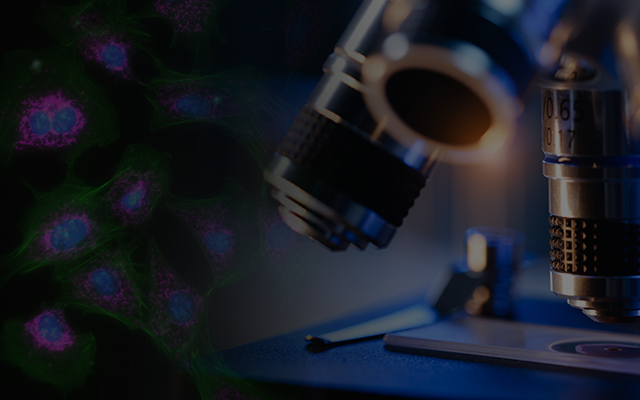 Technology Day: Life Sciences Imaging and Optics banner