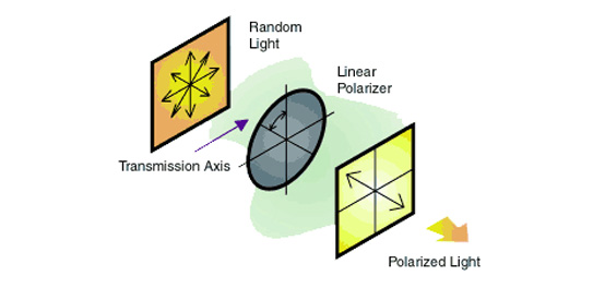 Successful Light Polarization Techniques